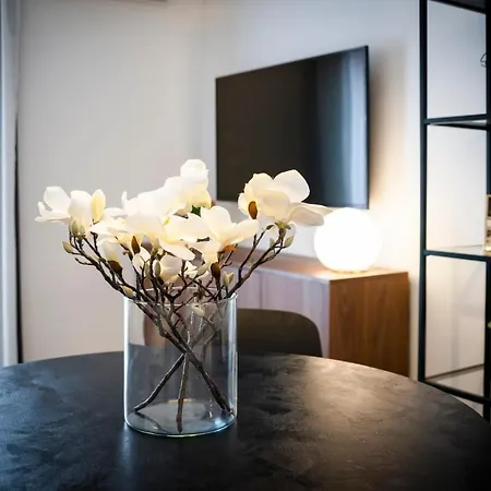 Modern And Cozy Salt & Pepper In Heart Of Rovinj